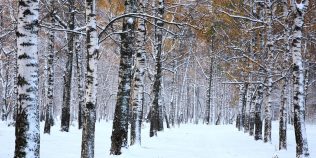 Unde a venit deja iarna în România. Zonele pentru care ANM anunță lapoviță, ninsori și strat de zăpadă