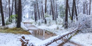 Cum ar putea fi iarna 2026-2027 în Europa din cauza El Niño. Fenomenul va atinge o intensitate record în decembrie