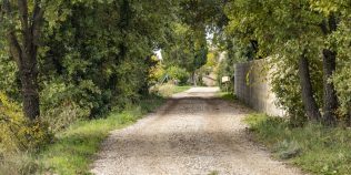 A găsit o piatră verde fluorescentă pe un drum izolat de ţară și a dus-o acasă. Ce era, de fapt. Explicaţia fenomenului