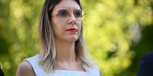 Cu ce avere pleacă Diana Buzoianu de la Ministerul Mediului. Câți bani are în conturi și ce venituri a declarat: „A fost o onoare să pot munci pentru România”