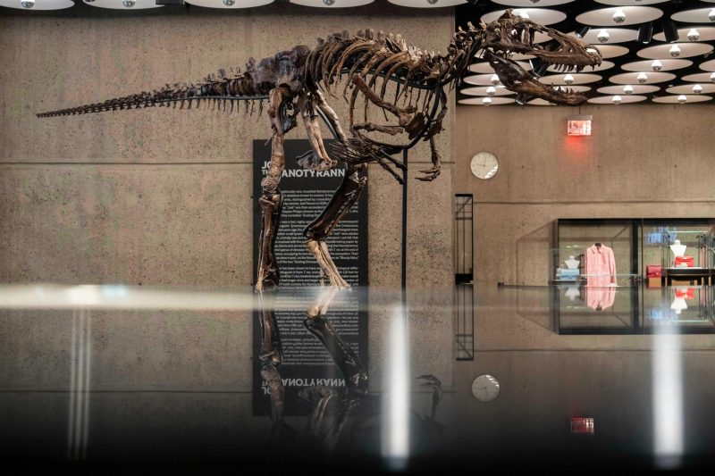 Un schelet rar de dinozaur s-a vândut cu 47,3 milioane de dolari. De ce contestă cercetătorii licitația